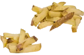 Proefpakket Frietfabriek